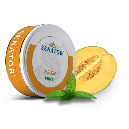 Pliculete cu nicotina Senator - Melon Mint