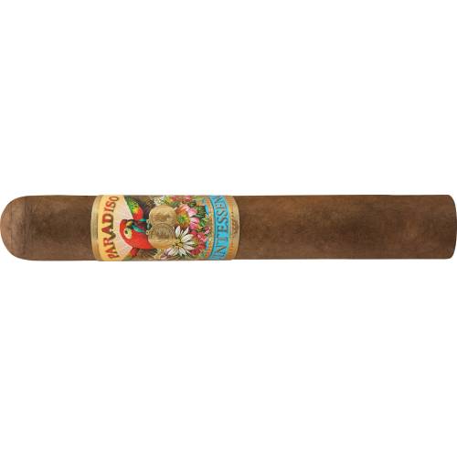 Paradiso Quintessence Robusto (24)