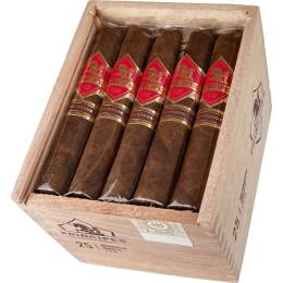 PRINCIPES LF NICARAGUA ROBUSTO (25)