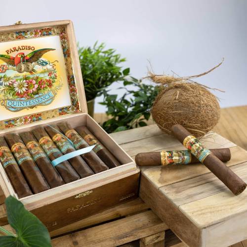 Paradiso Quintessence Robusto (24)