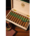 Essenze Cigars Titan - Habano Short Titan BOX (10)