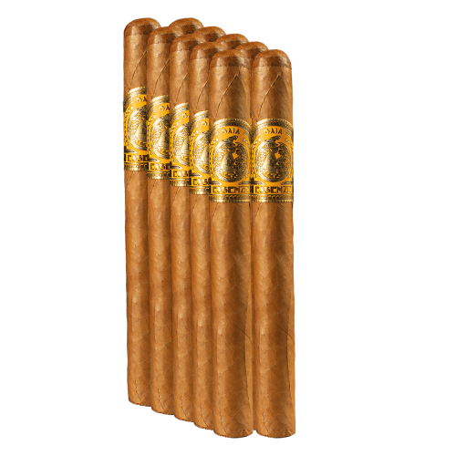 Essenze Cigars Gaia - Habano Churchill BUNDLE (10)