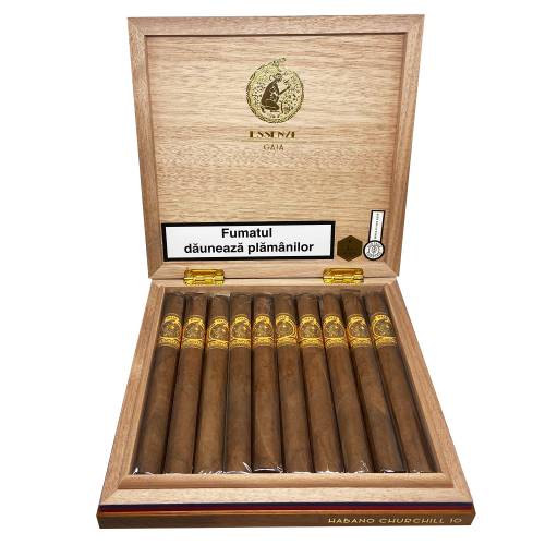  Essenze Cigars Gaia - Habano Churchill BOX (10)