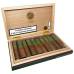 Essenze Cigars Titan - Habano Short Titan BOX (10)