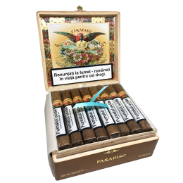 Paradiso Quintessence Robusto (24)