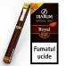 Tigari de foi Djarum - Filter TIP Wood ROYAL (1)