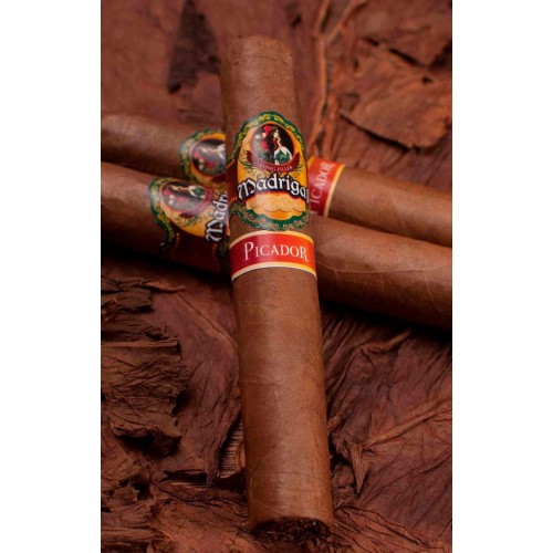 Tigari de foi Santa Clara Madrigal - Picador Robusto (10)